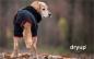 Preview: „Dryup Cape“ Trockencape - Hundebademantel schwarz